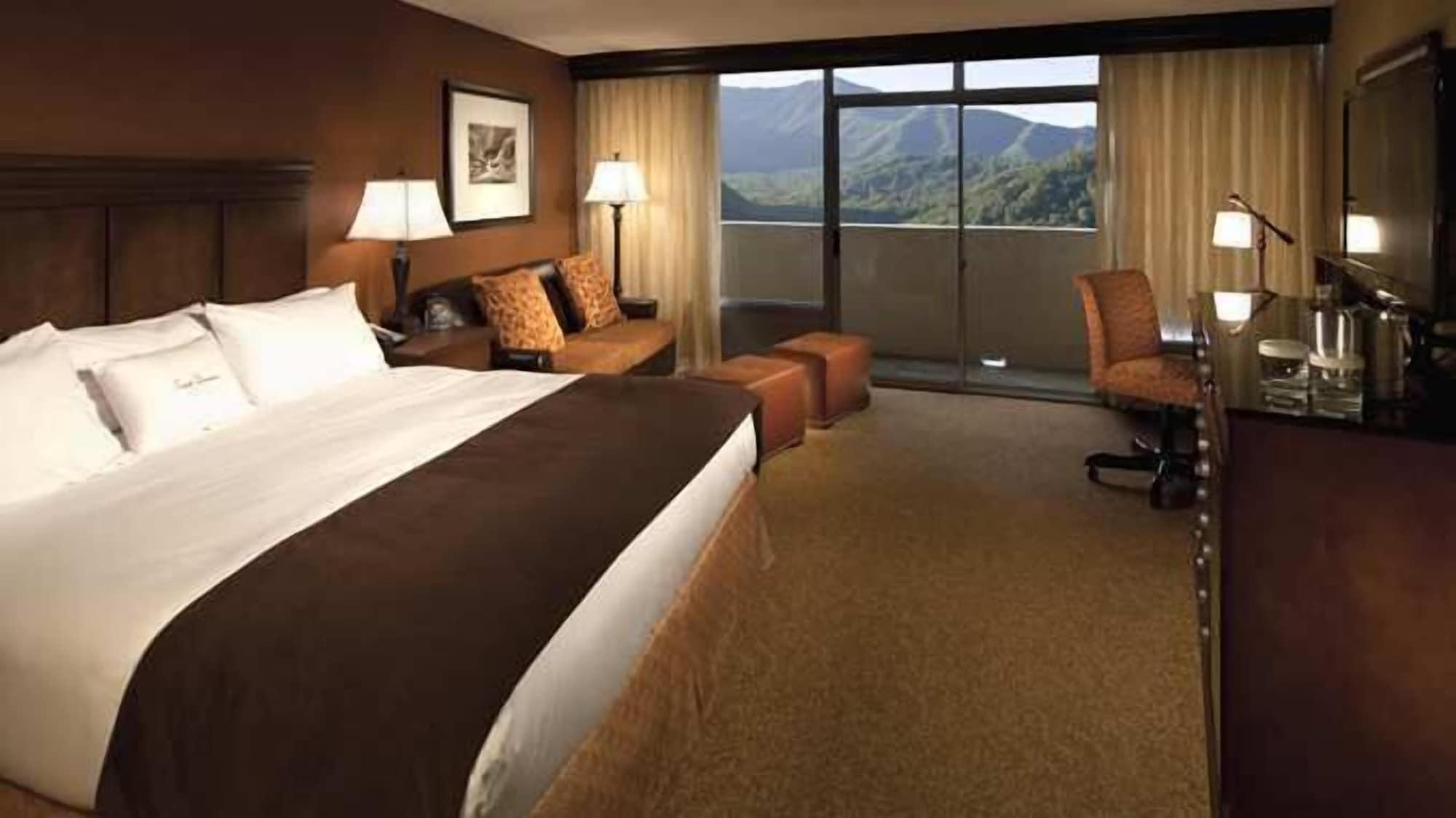 The Park Vista - A DoubleTree by Hilton Hotel - Gatlinburg Exterior foto