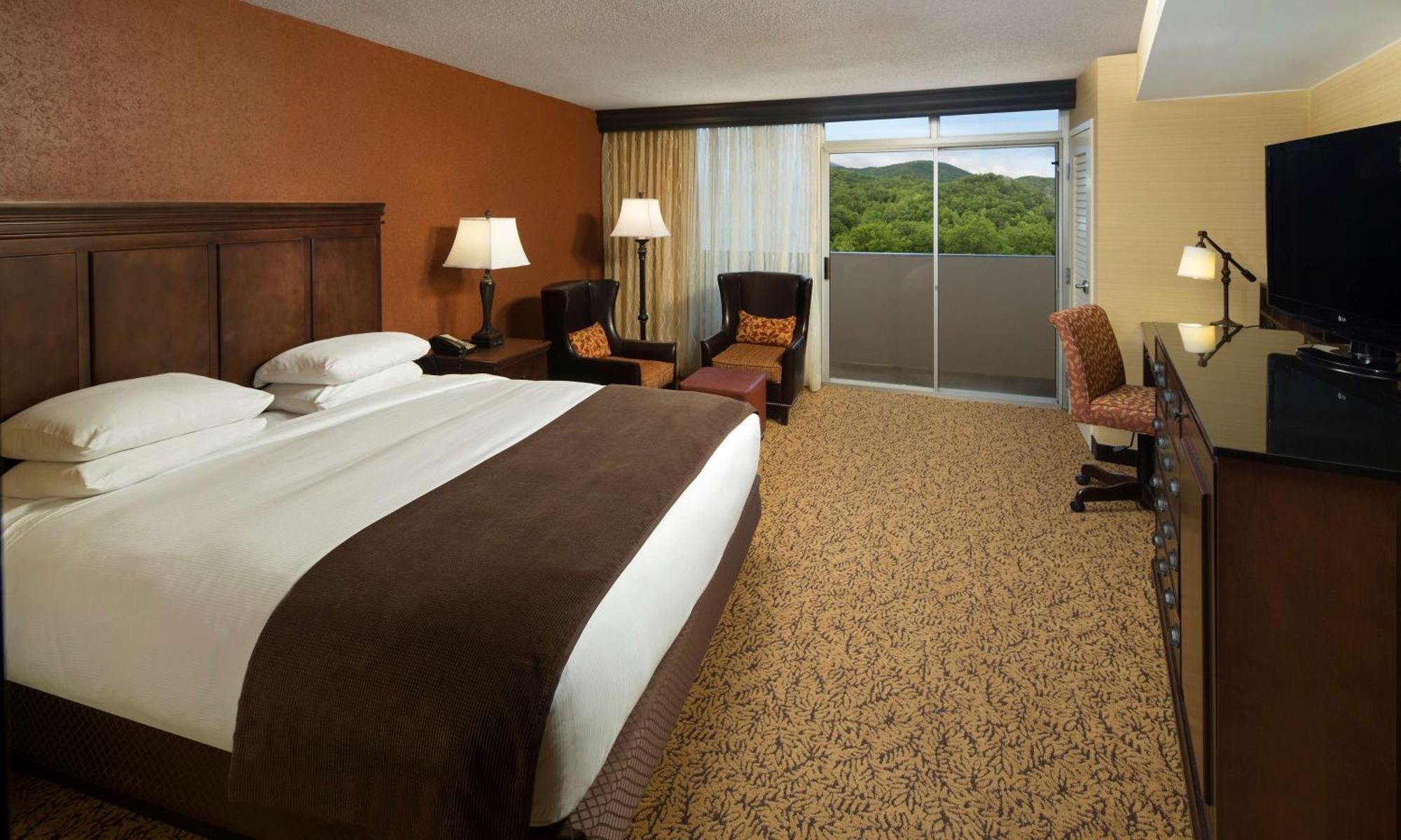 The Park Vista - A DoubleTree by Hilton Hotel - Gatlinburg Exterior foto